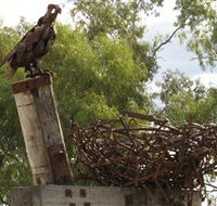 Blackall Sculpture Trail - Accommodation Broome