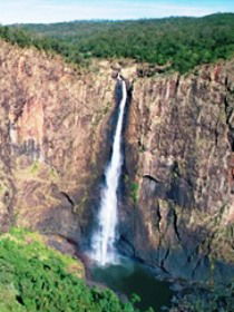Gugigugi (Butterfly) Walk, Wet Tropics Great Walk - Accommodation Broome 0