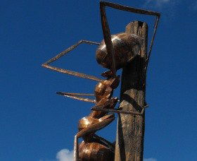 Augathella Meat Ant Park And Sculpture - Accommodation Broome 0