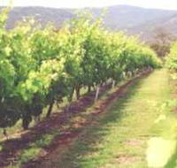 Girraween Estate - Accommodation Broome