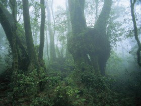 West Canungra Creek Circuit - Accommodation Broome 0