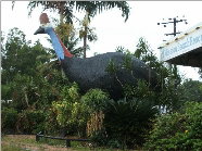 The Big Cassowary - Accommodation Broome 0