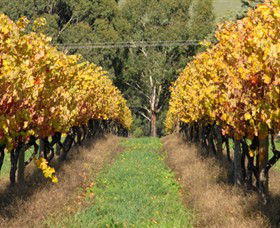 Wild Dog Winery & Restaurant - Accommodation Broome 0