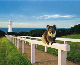 Cape Otway VIC Accommodation Broome
