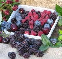 Bright Berry Farms - Accommodation Broome