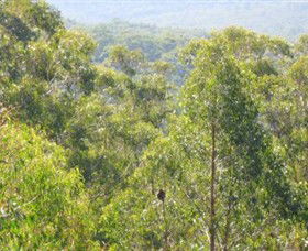 Bunyip State Park - Accommodation Broome 0