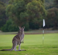 Anglesea Golf Club - Accommodation Broome