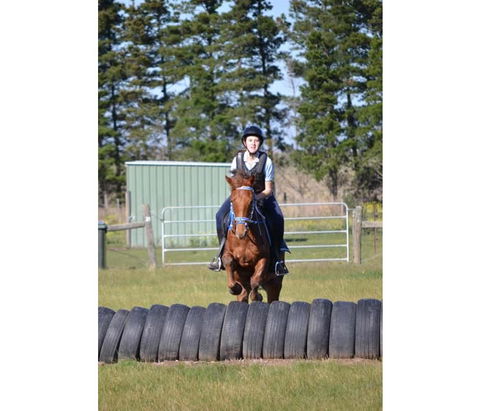 Saddle On Riding School - Accommodation Broome 9