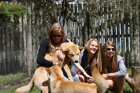 Great Ocean Road Wildlife Park - Accommodation Broome 3
