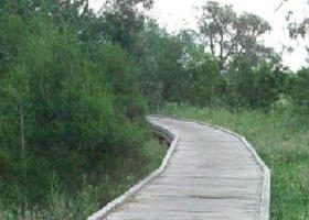 Shepherds Bush - Accommodation Broome 0