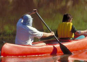 Yarra Bend Park - Accommodation Broome 0