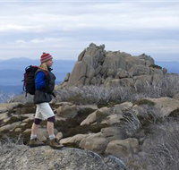 Mount Buffalo National Park - Accommodation Broome