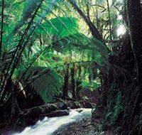 Melba Gully - Accommodation Broome