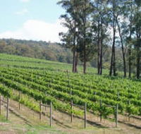Piedmont Vineyard - Accommodation Broome