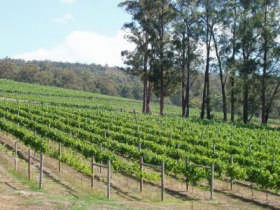 Piedmont Vineyard - Accommodation Broome 0