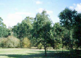 Sweeneys Flat - Accommodation Broome 0