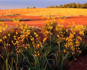 Royal Botanic Gardens Victoria Cranbourne - Accommodation Broome 0