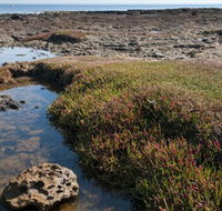 Ricketts Point Marine Sanctuary - Accommodation Broome