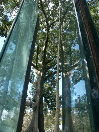 Sydney Sculpture Walk - Accommodation Broome 0