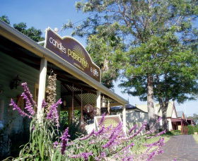 Passionfish Candles - Accommodation Broome 0