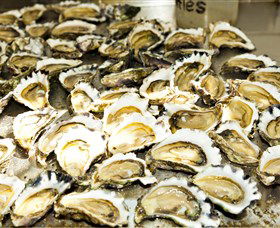 Wheelers Oysters - Accommodation Broome 0