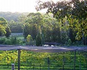 Lyrebird Ridge Organic Winery - Accommodation Broome 0