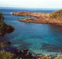 Bass Point Reserve - Accommodation Broome