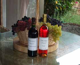 Villa D Esta Vineyard - Accommodation Broome 2