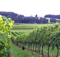 Banjo's Run Winery and Vineyard - Accommodation Broome