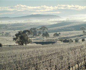 Kurrajong Downs Wines Vineyard - Accommodation Broome 1