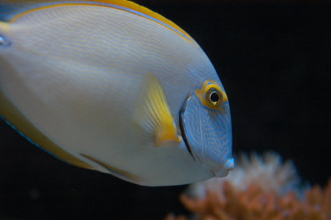 Solitary Islands Aquarium - Accommodation Broome 3