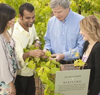 Jacob's Creek Vineyard Tour - Accommodation Broome