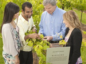 Jacob's Creek Vineyard Tour - Accommodation Broome 0