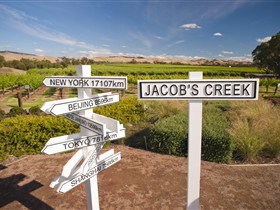 Jacob's Creek Vineyard Tour - Accommodation Broome 1