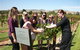 Jacob's Creek Vineyard Tour - thumb 2