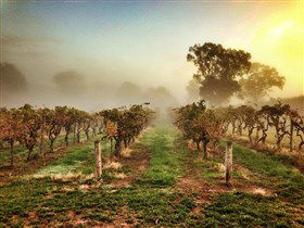 Lambert Estate Wines - Accommodation Broome 1