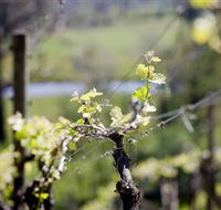 Stonier Wines - Accommodation Broome