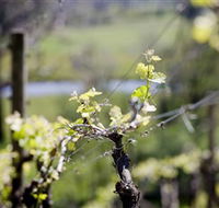 Bellarine Estate - Accommodation Broome