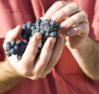 Brown Magpie Wines - Accommodation Broome