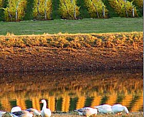 Pipers Brook Vineyard - Accommodation Broome 0