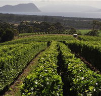 Bream Creek Vineyard - Accommodation Broome