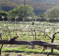 Three Willows Vineyard - Accommodation Broome
