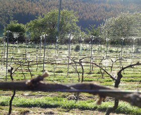 Three Willows Vineyard - Accommodation Broome 0