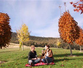 Gapsted Wines - Accommodation Broome 5