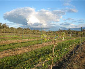 Flyfaire Wines - Accommodation Broome 7