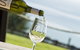 Jack Rabbit Vineyard - thumb 5