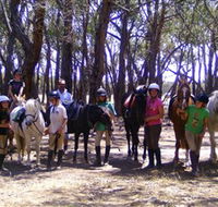 Bellarine Horse Riding Centre - Accommodation Broome