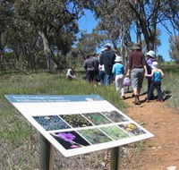 South Gundagai Woodlands Walk - Accommodation Broome