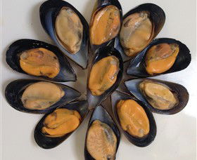 Advance Mussel Supply - Accommodation Broome 3
