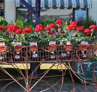 Van Loon's Nursery - Accommodation Broome